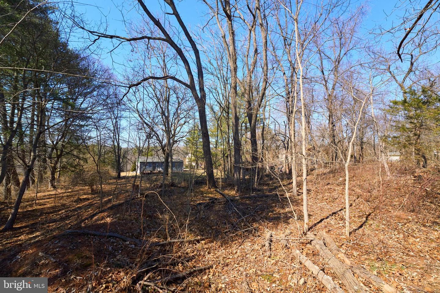 20520 Gleedsville Road photo 11