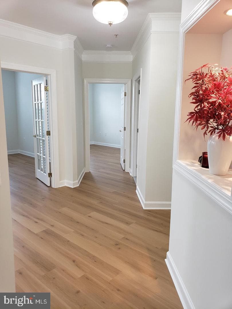44485 Chamberlain Terrace #201 photo 32