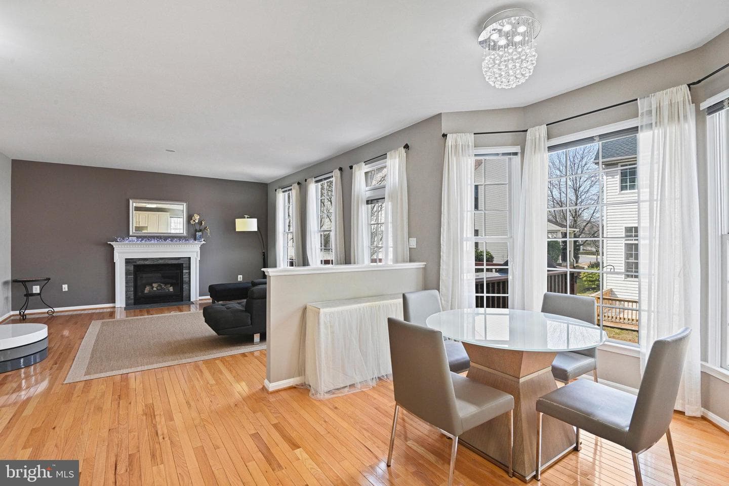 20905 Solomons Court photo 10