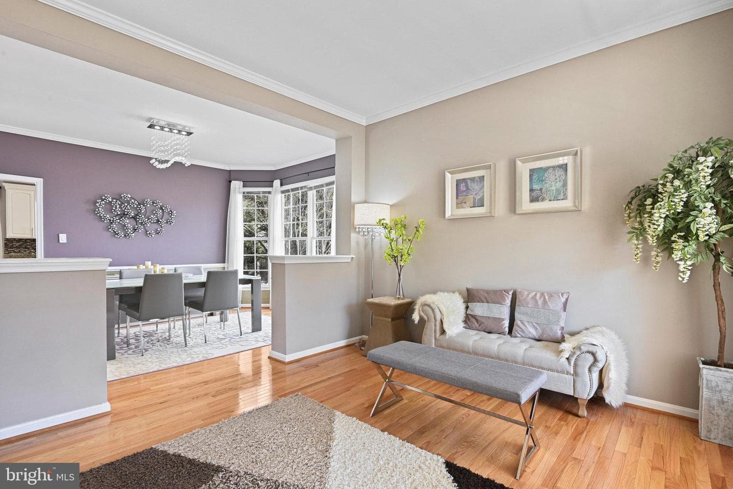 20905 Solomons Court photo 4