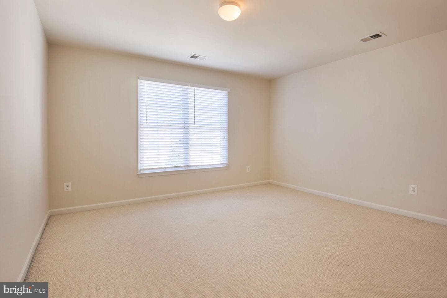 47434 Riverbank Forest photo 27