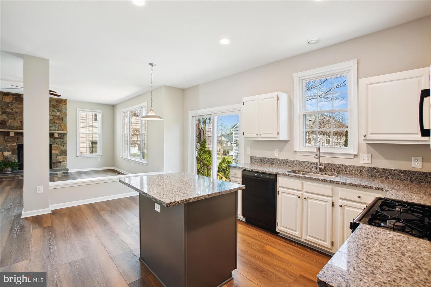 46564 Whitechapel Way photo 11