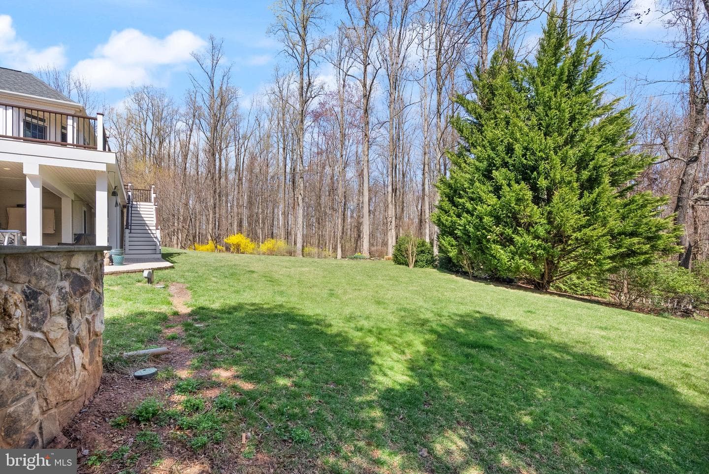 24158 Dark Hollow Circle photo 101