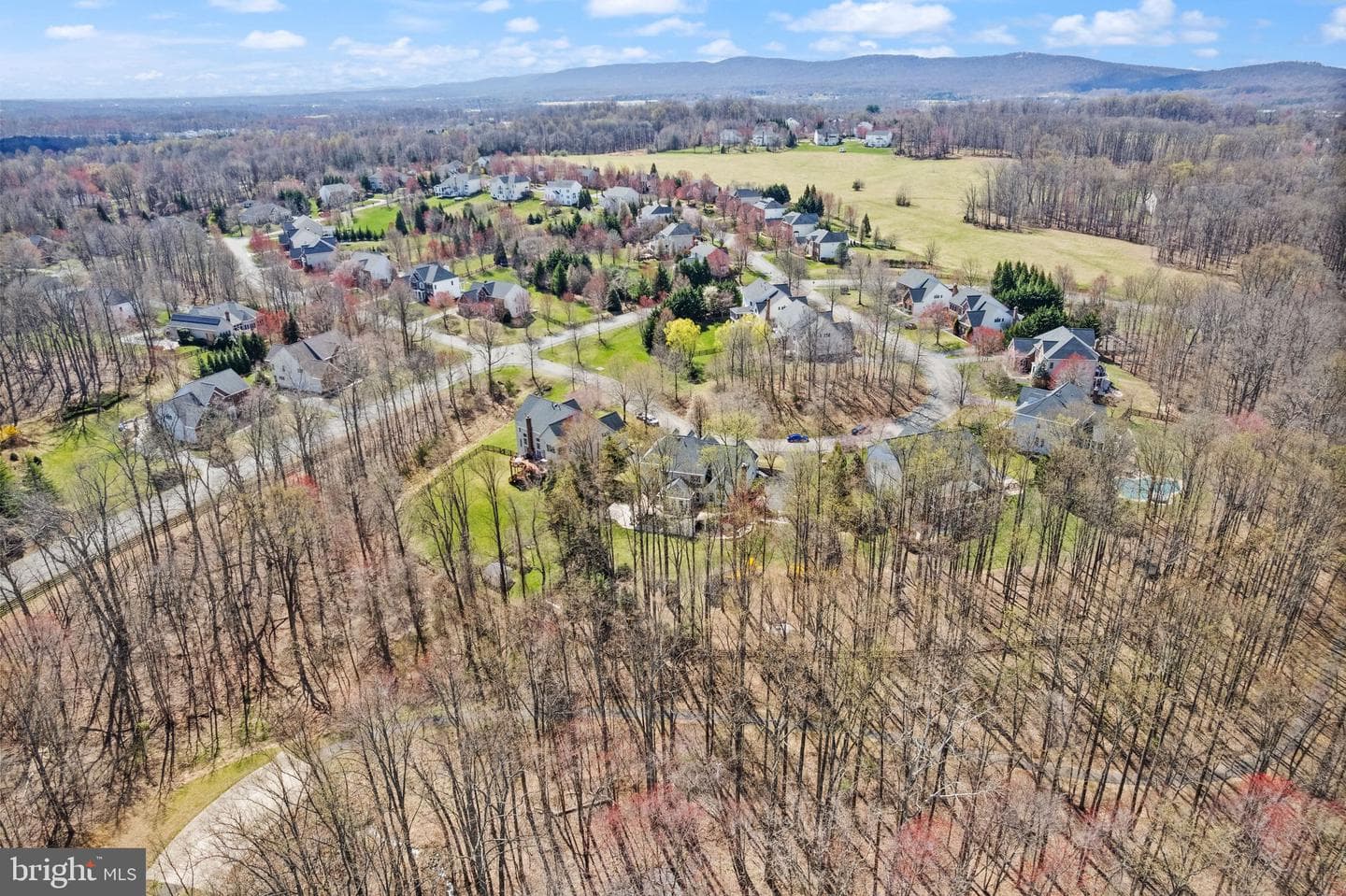 24158 Dark Hollow Circle photo 111