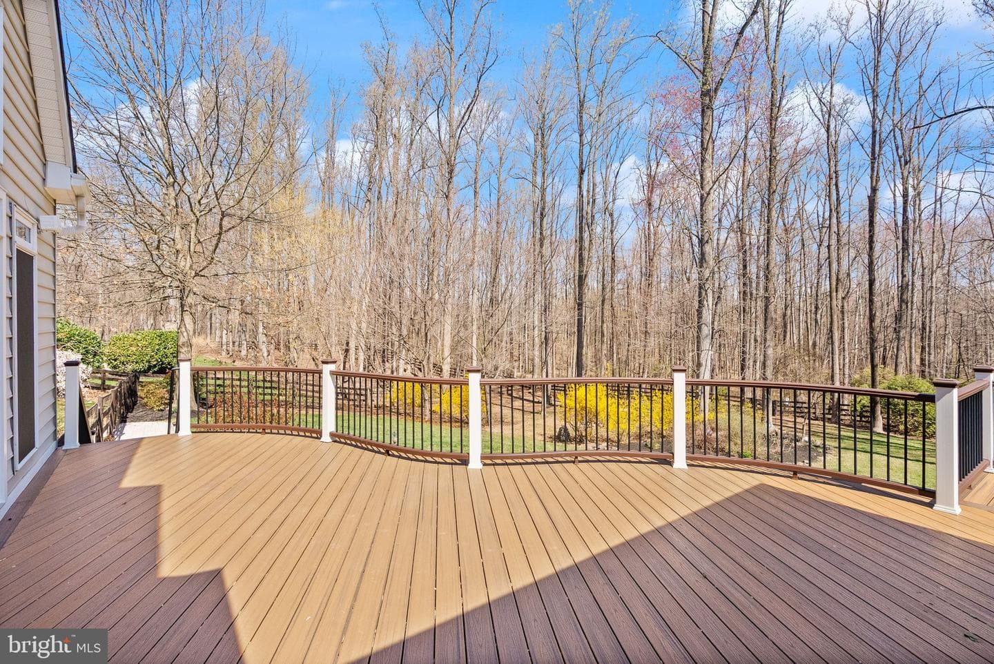 24158 Dark Hollow Circle photo 38