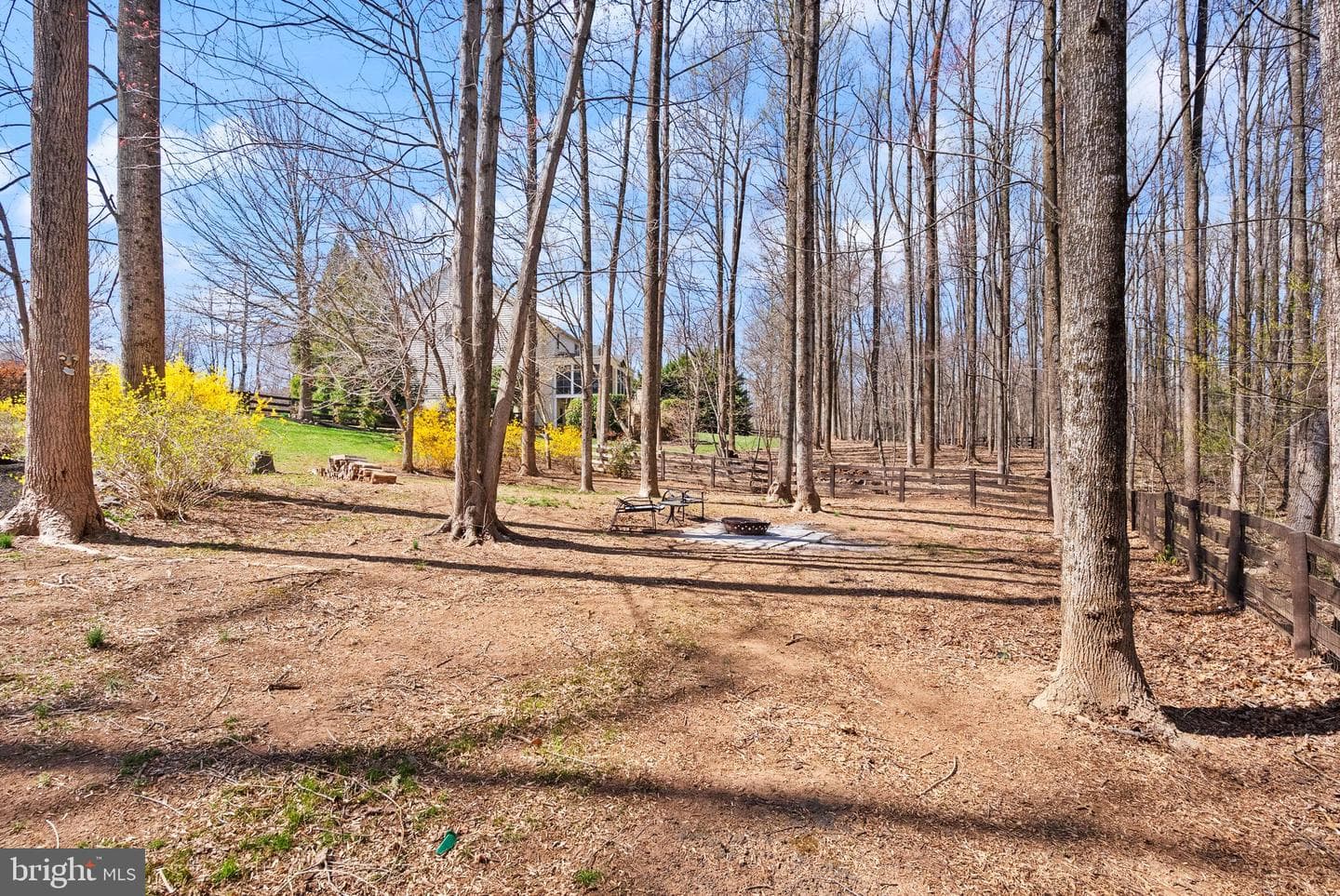 24158 Dark Hollow Circle photo 97