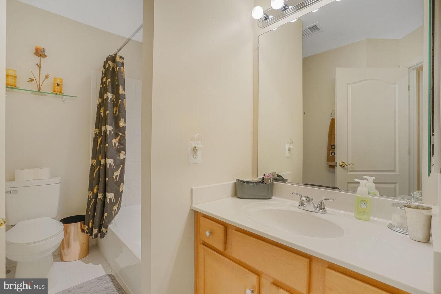 25837 Mews Terrace photo 23