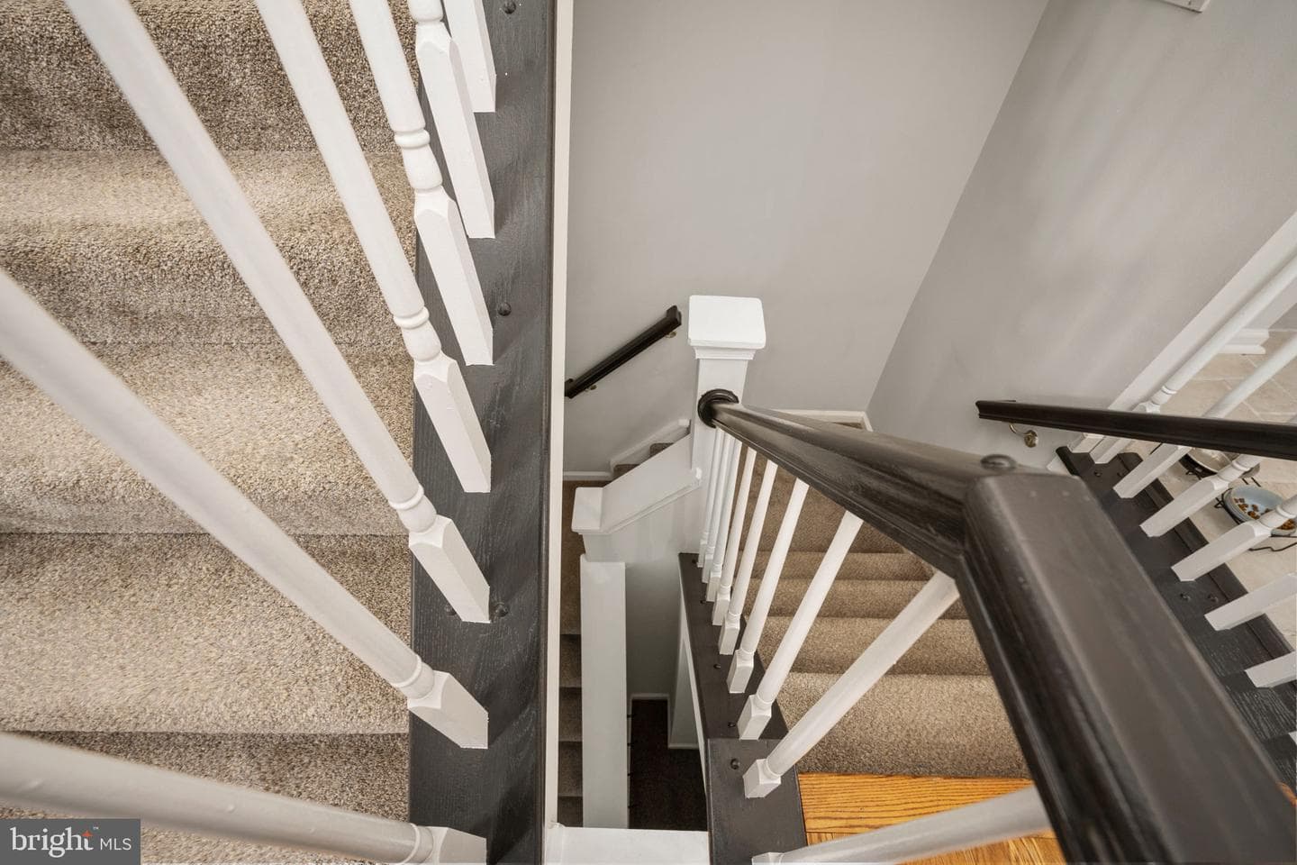 20421 Doncaster Terrace photo 25