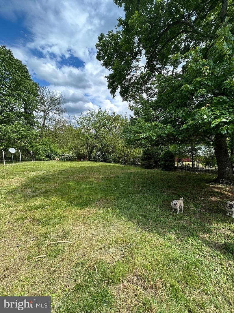20276 Cockerill Road photo 18