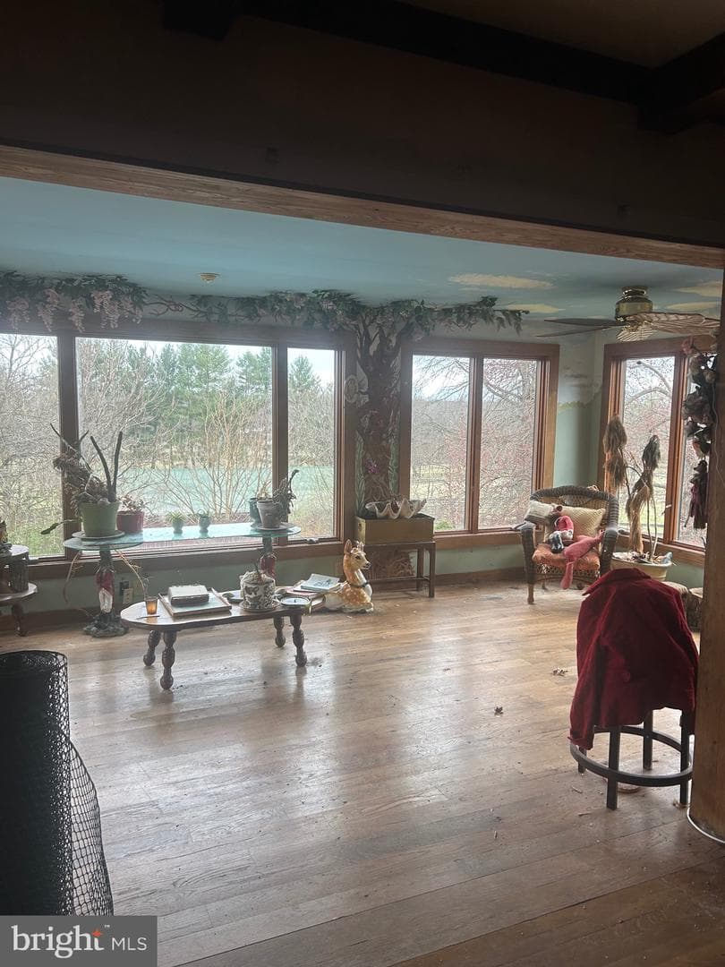 20276 Cockerill Road photo 28