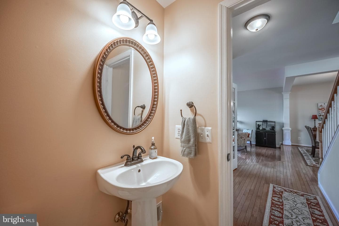 45832 Shagbark Terrace photo 12