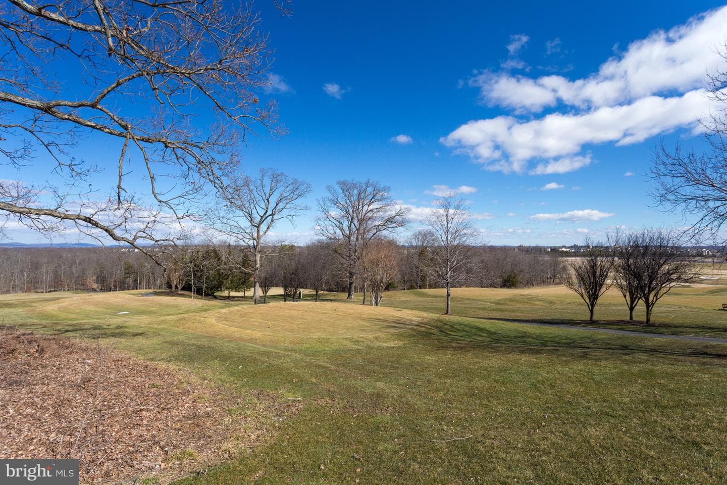 43853 Arborvitae Drive photo 42
