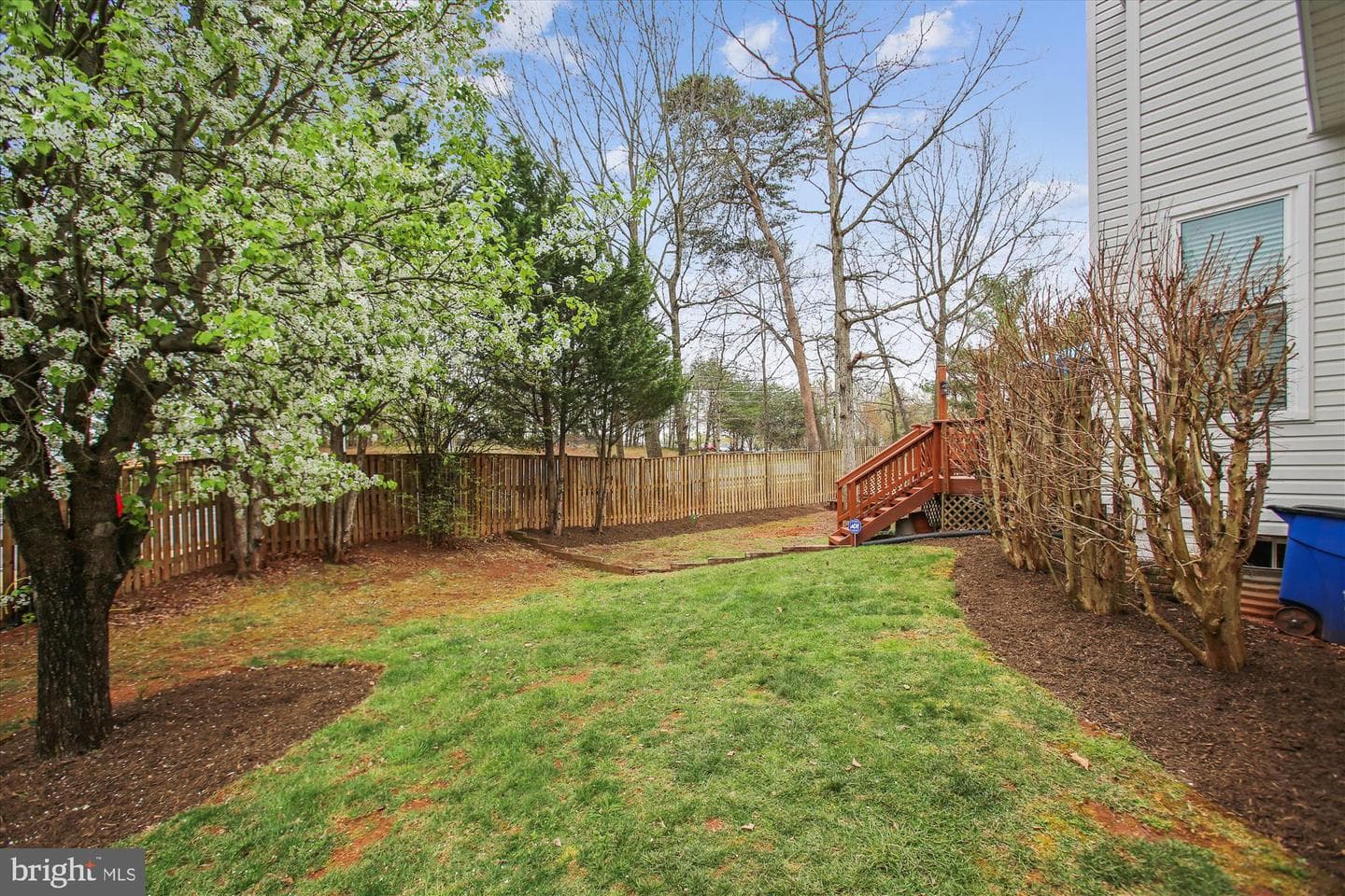 21232 Bullrush Place photo 4