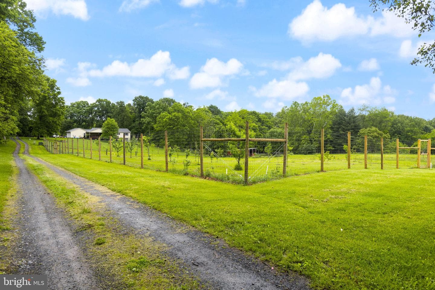 37677 Cooksville Road photo 3