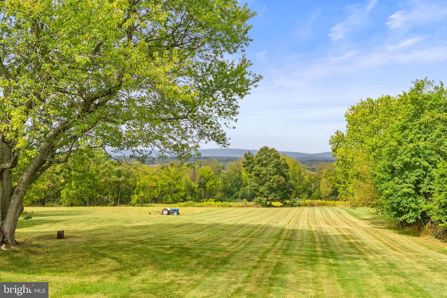 38684 Mount Gilead Road photo 2