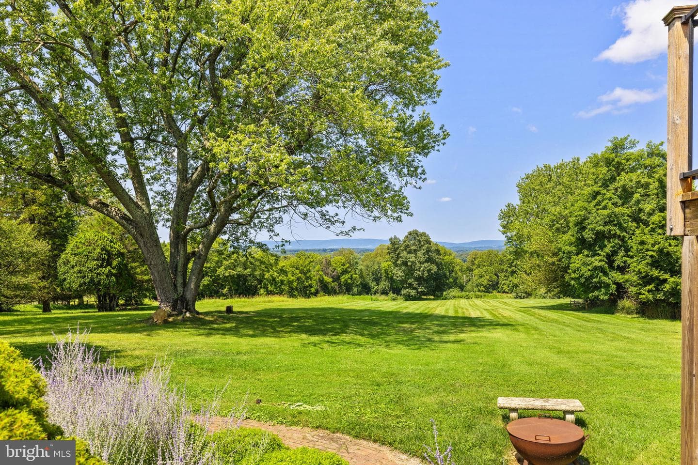 38684 Mount Gilead Road photo 3