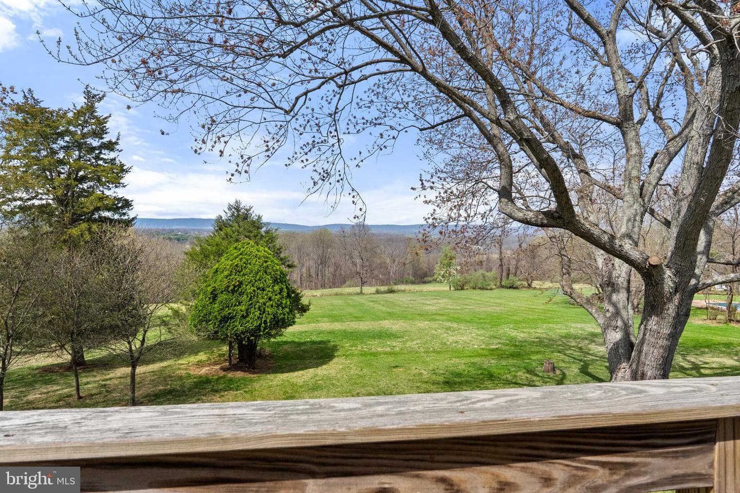 38684 Mount Gilead Road photo 37