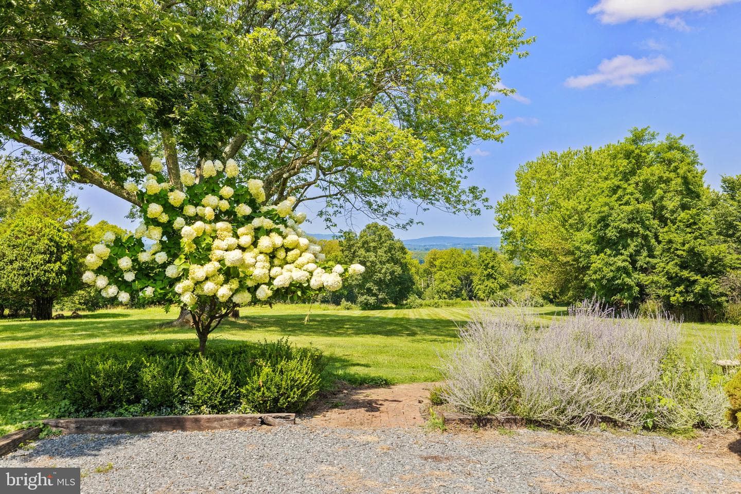 38684 Mount Gilead Road photo 4
