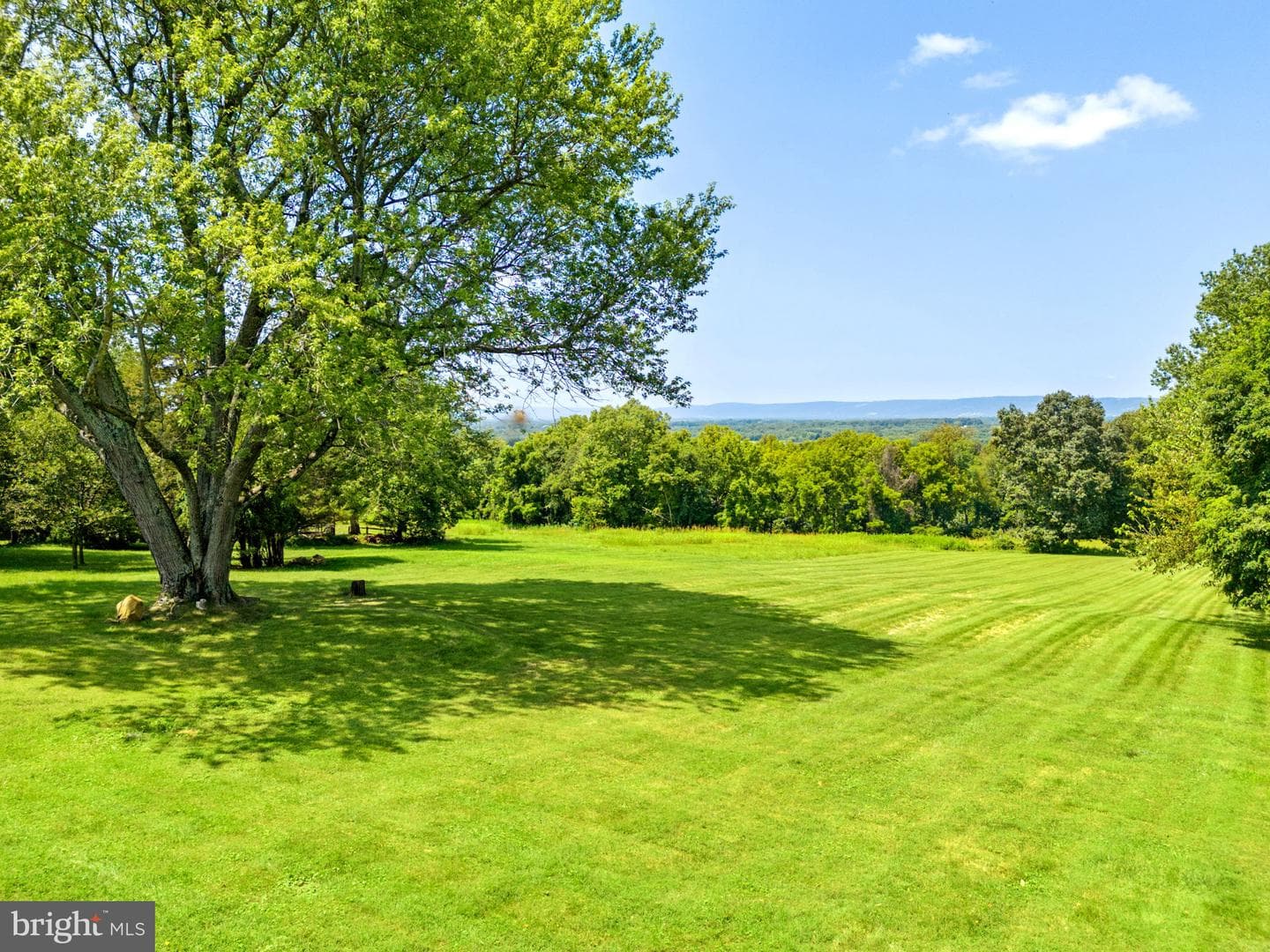 38684 Mount Gilead Road photo 40