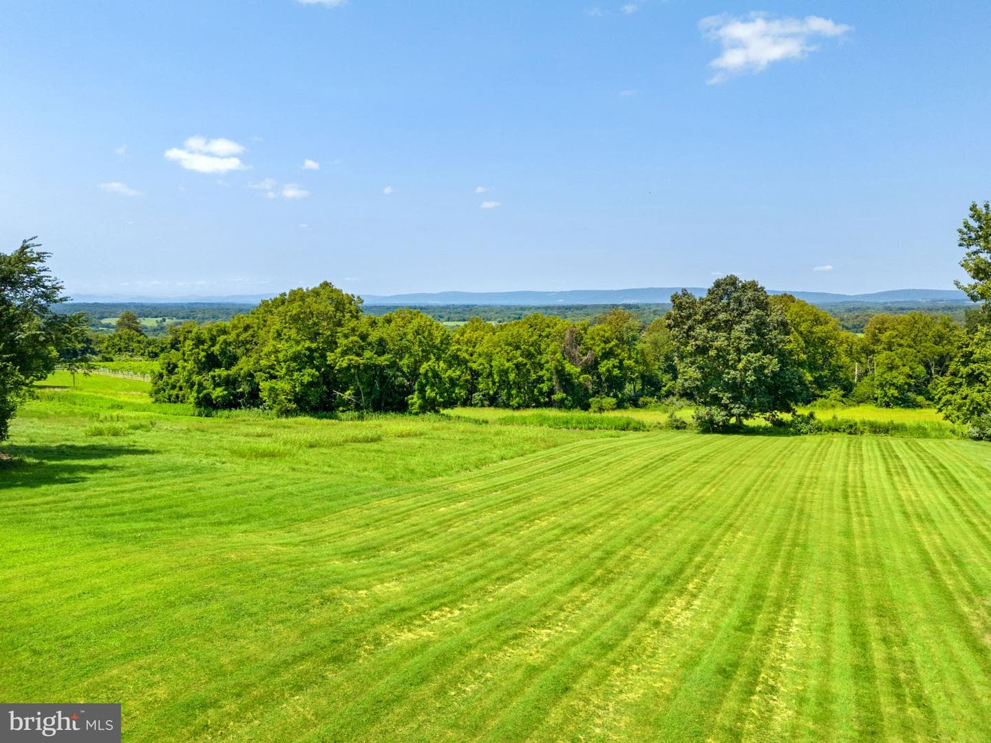 38684 Mount Gilead Road photo 41