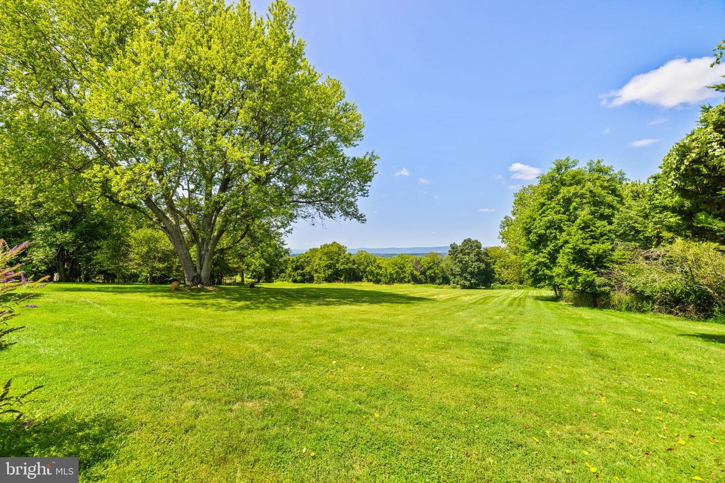 38684 Mount Gilead Road photo 42