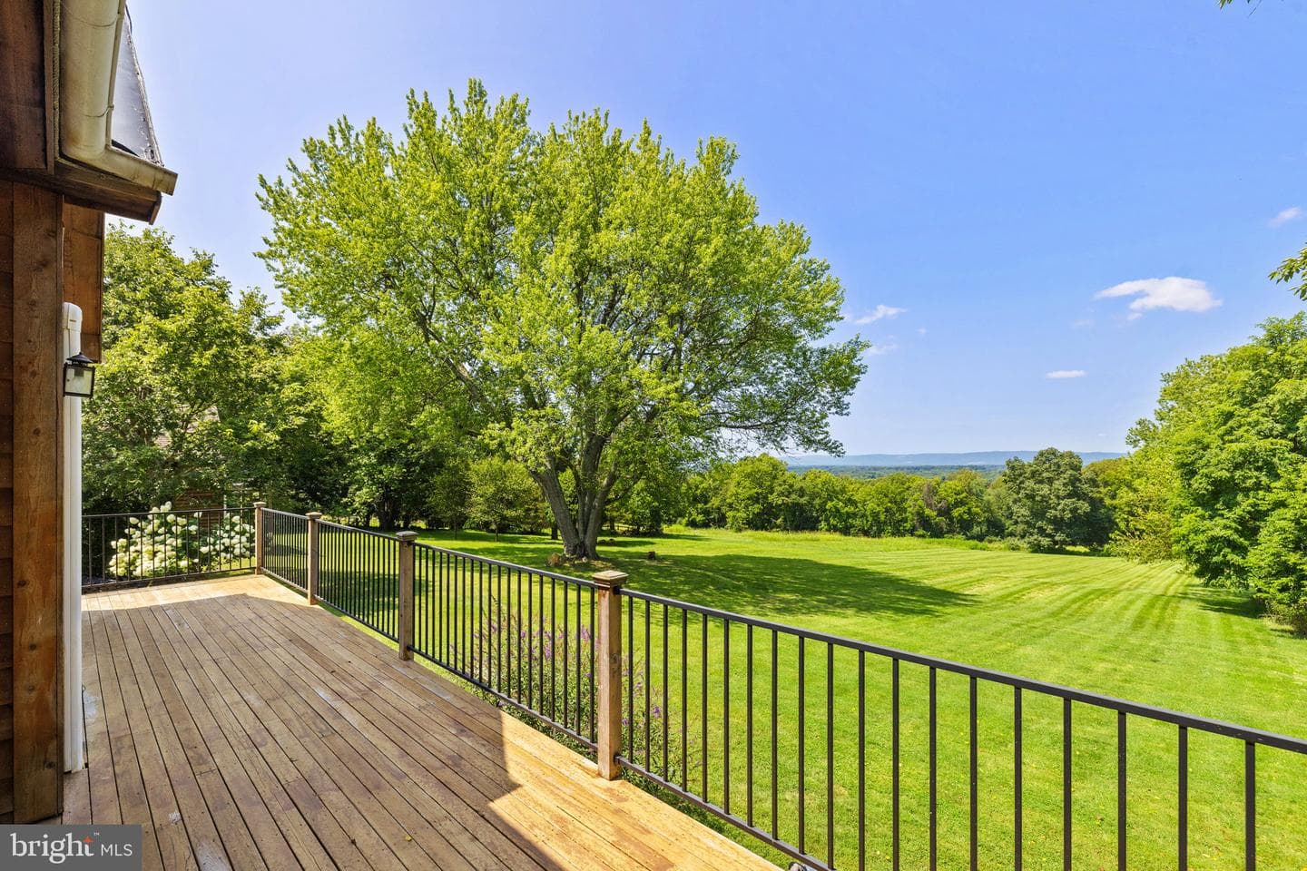 38684 Mount Gilead Road photo 44