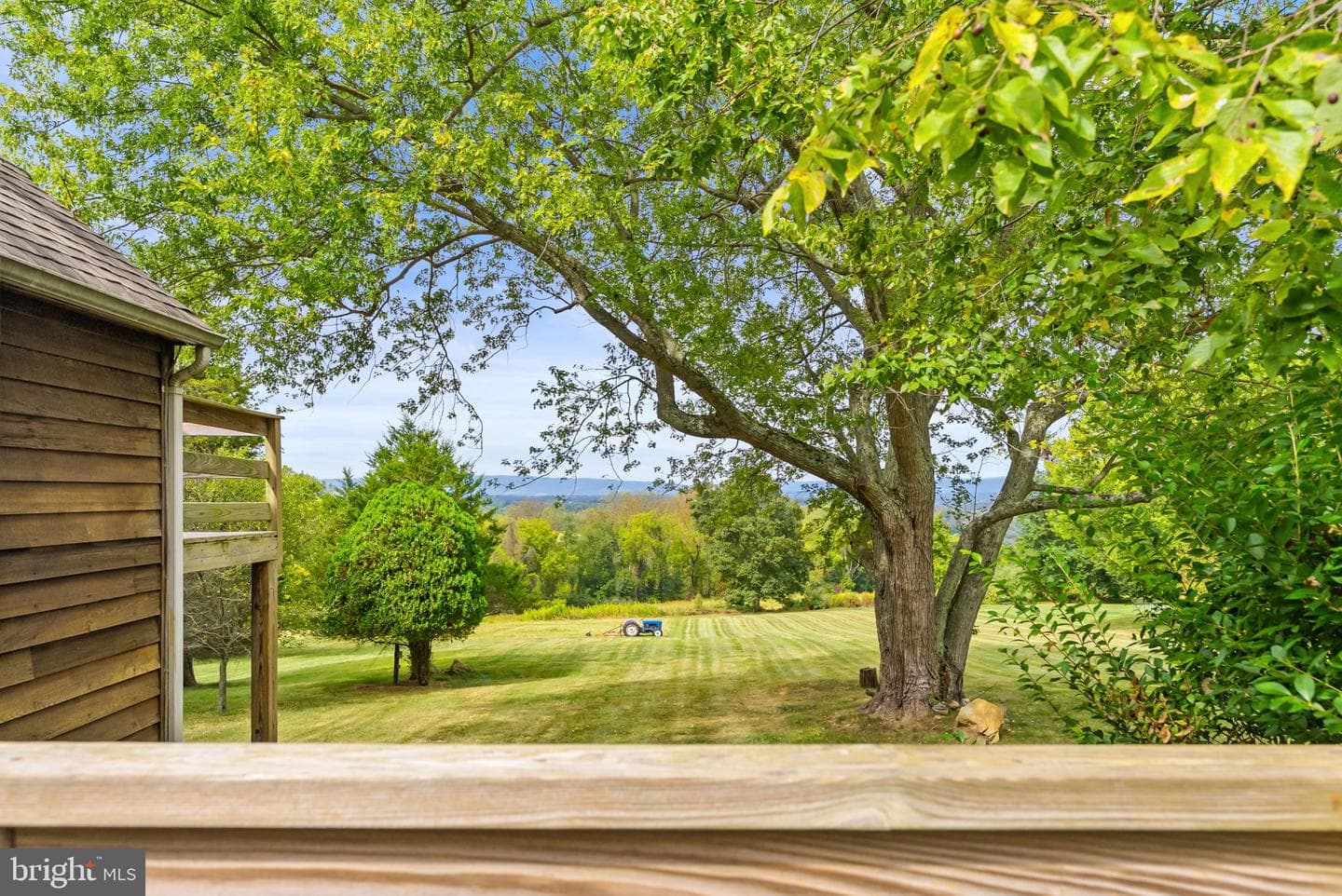 38684 Mount Gilead Road photo 60