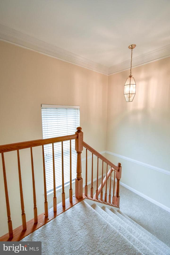 42744 Falls View Square photo 30