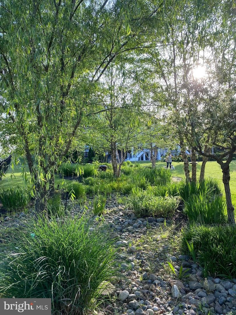 23152 Kingwood Forest Court photo 100