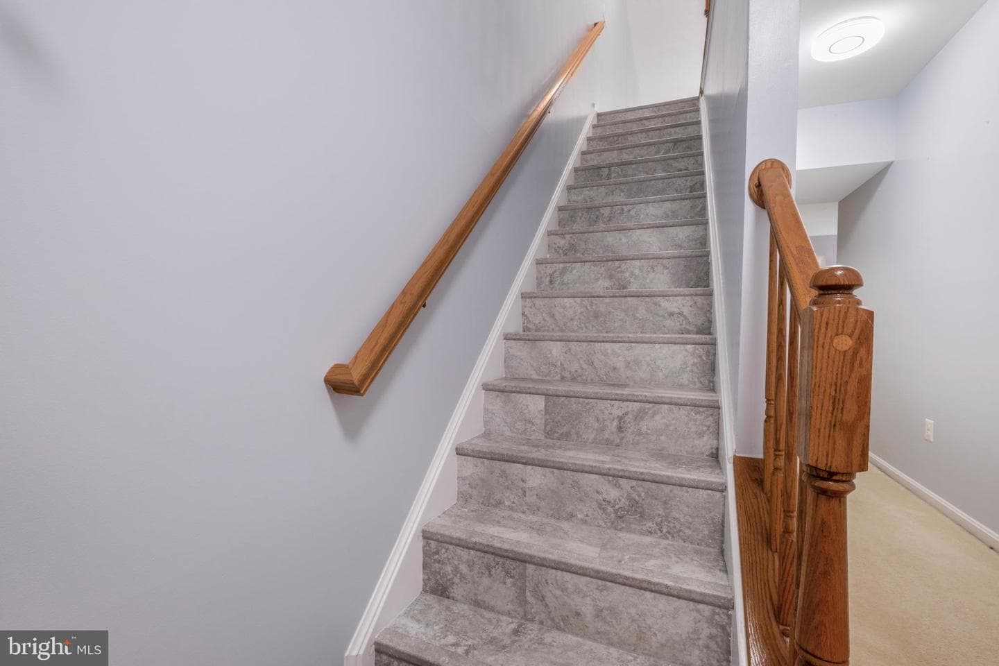 46789 Sweet Birch Terrace photo 12