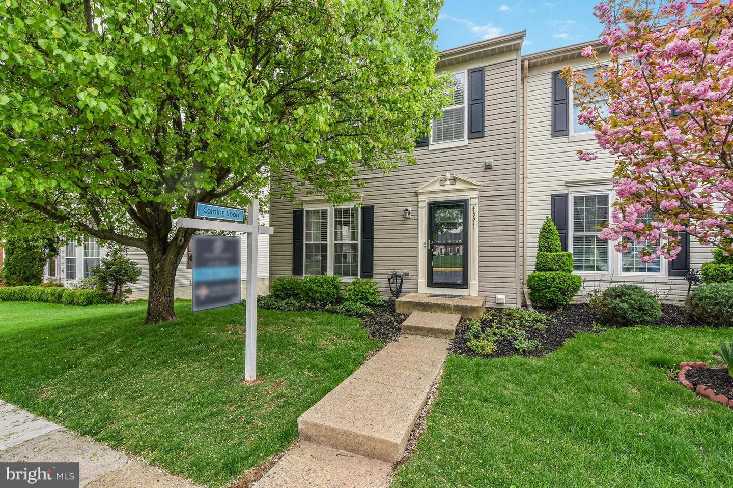 43311 Chokeberry Square photo 1