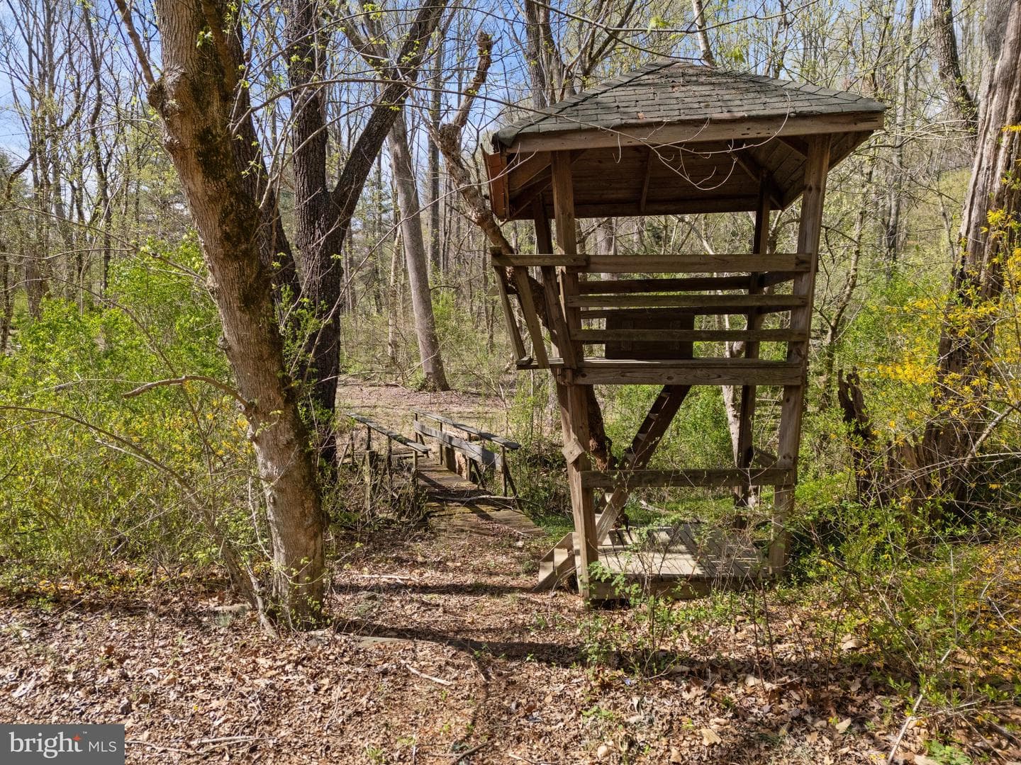 38271 Lime Kiln Road photo 64