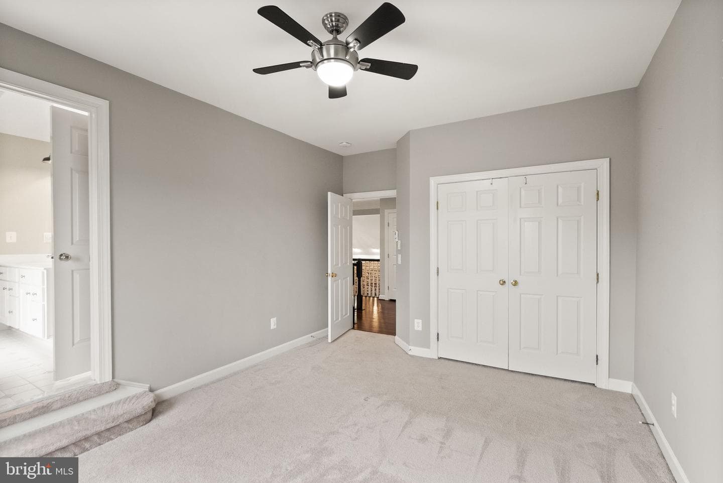 25695 Donerails Chase Drive photo 58