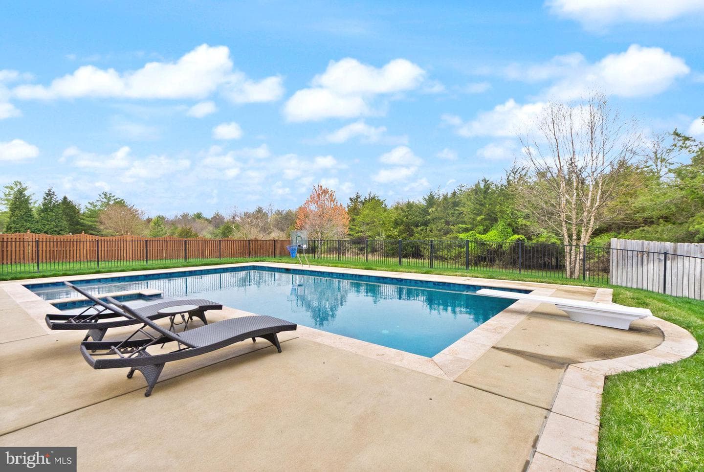 25695 Donerails Chase Drive photo 83