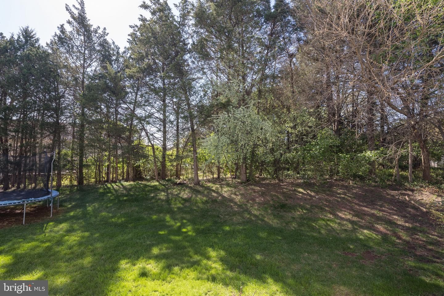 44211 Palladian Court photo 54