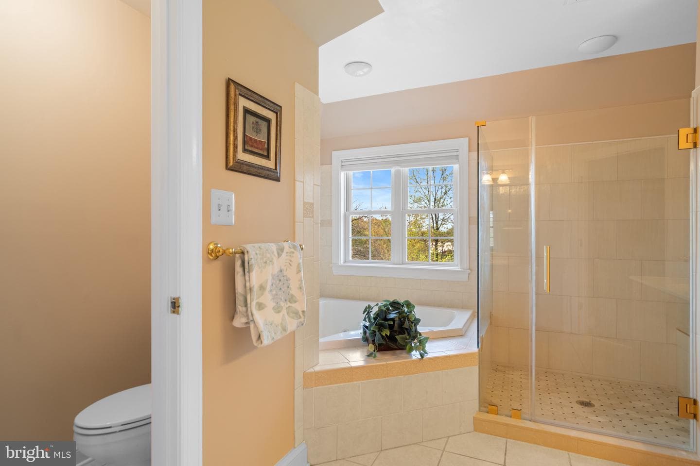36547 Innisbrook Circle photo 28