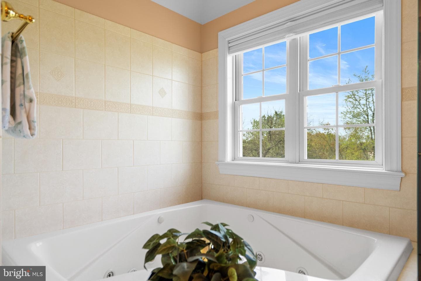 36547 Innisbrook Circle photo 30
