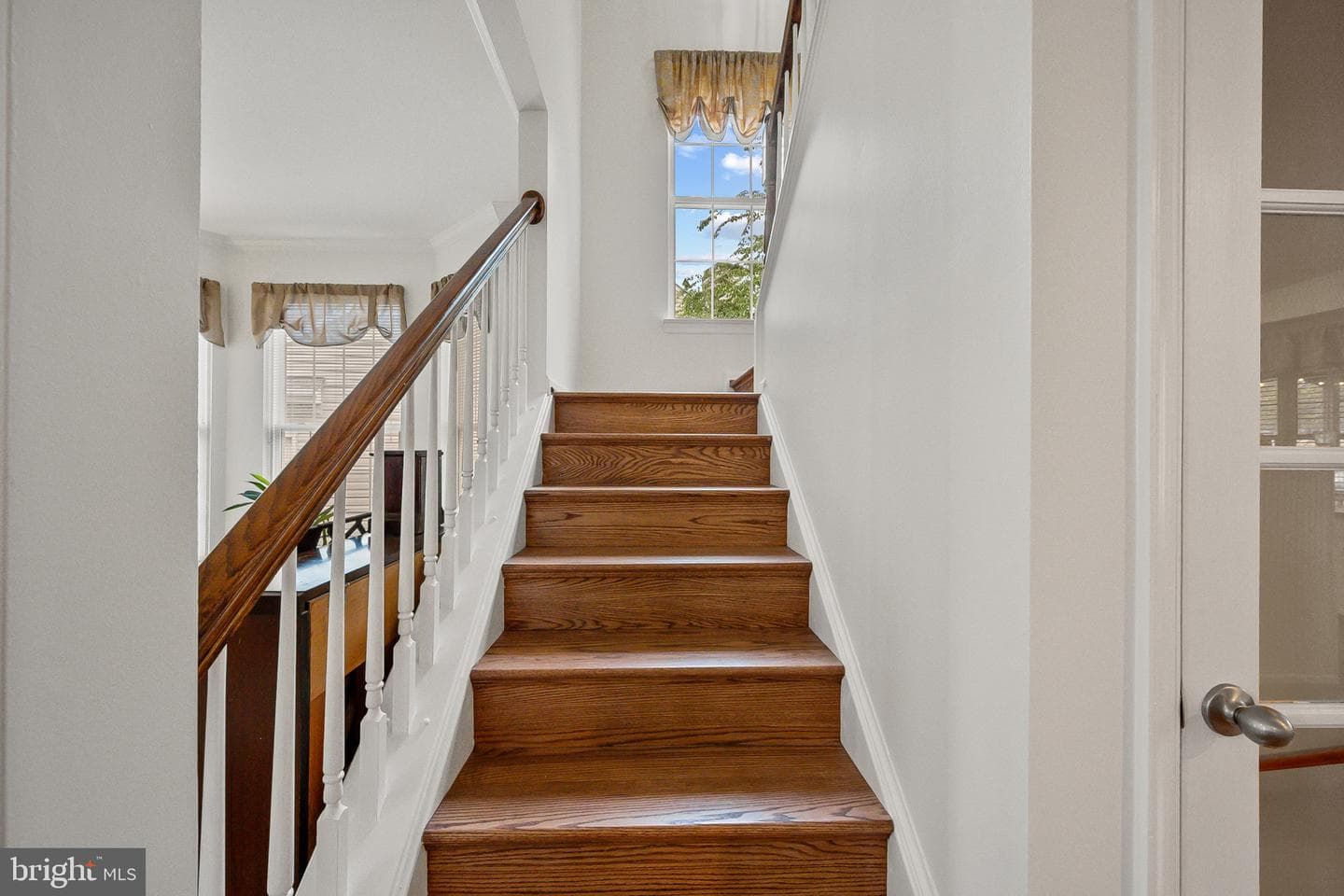 17301 Cedar Bluff Court photo 19