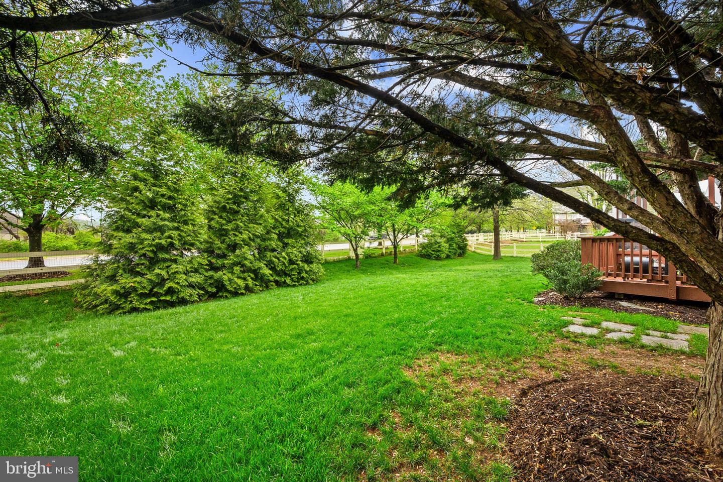 17301 Cedar Bluff Court photo 6