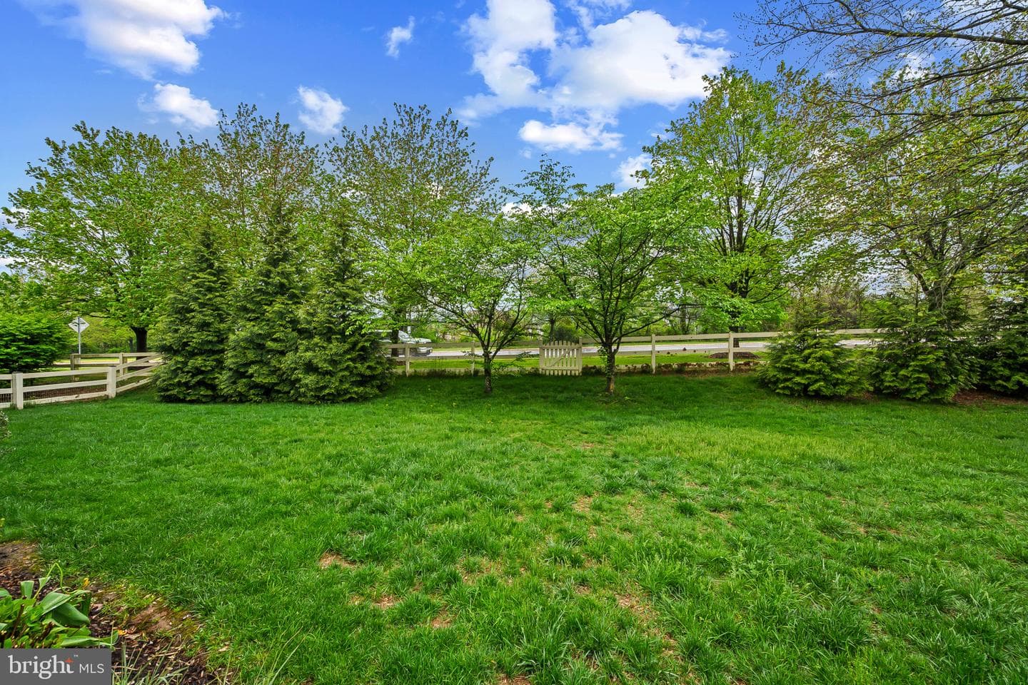 17301 Cedar Bluff Court photo 7