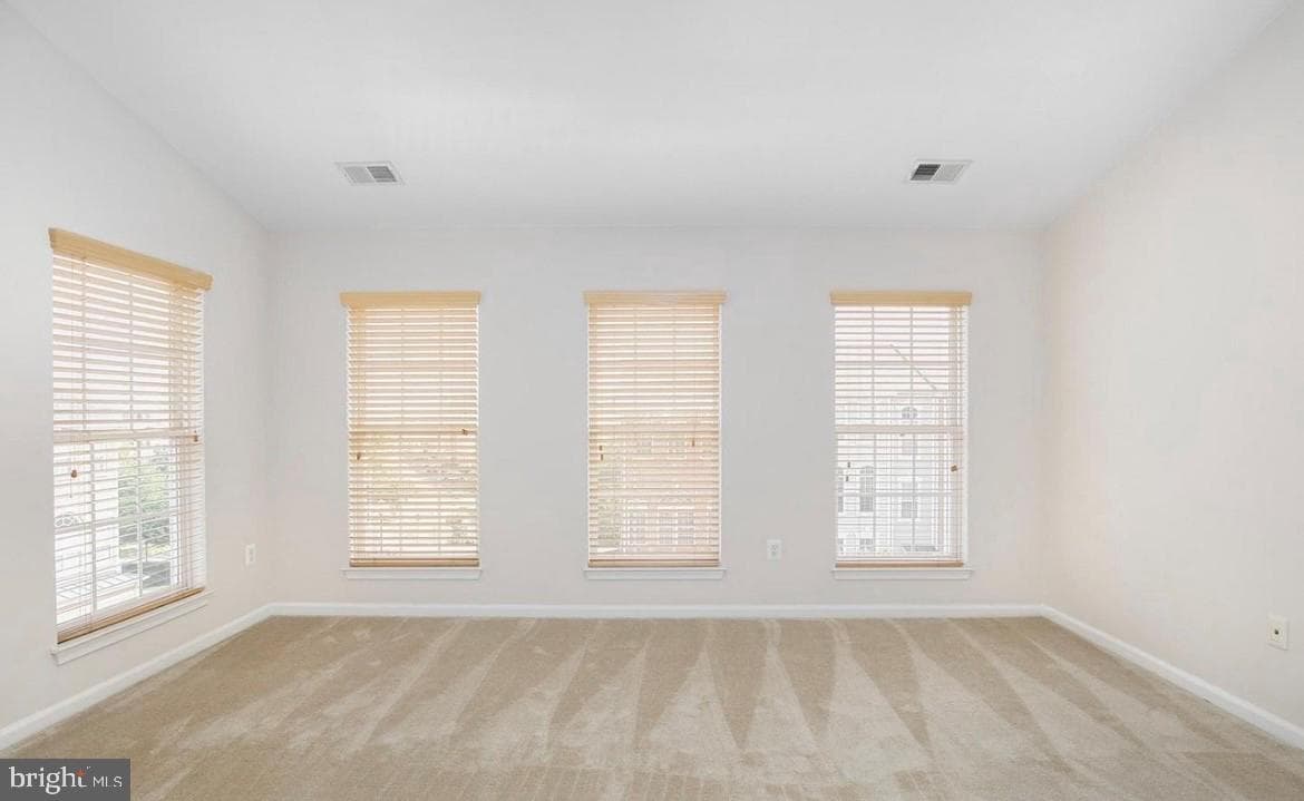 42210 Terrazzo Terrace photo 19
