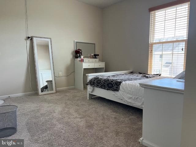 42210 Terrazzo Terrace photo 26