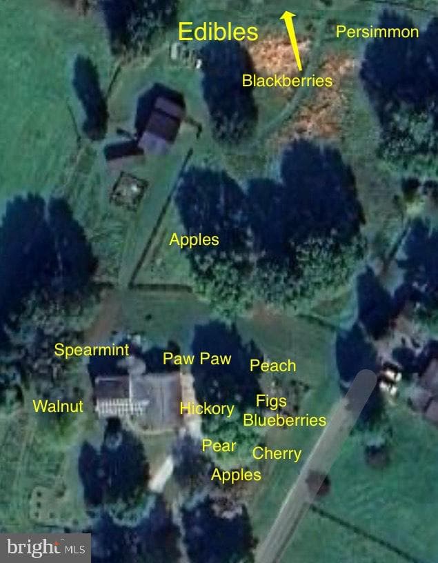 15608 Edgegrove Road photo 41