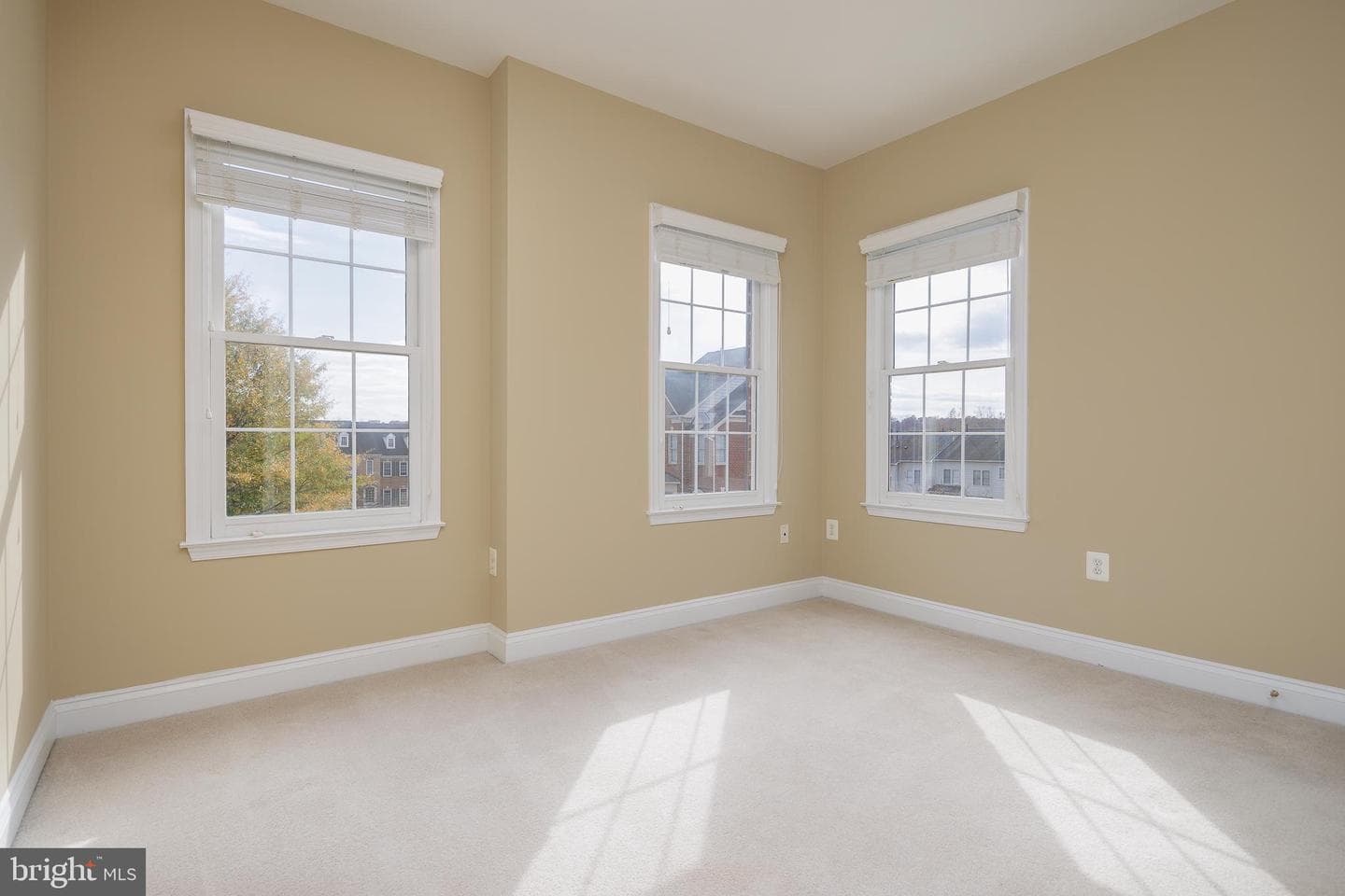 43800 Ballybunion Terrace photo 25