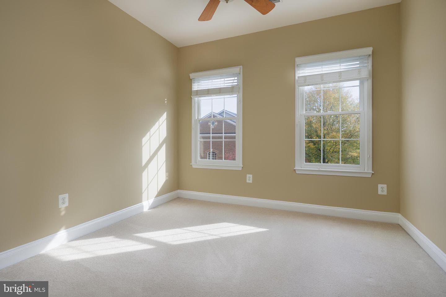 43800 Ballybunion Terrace photo 28