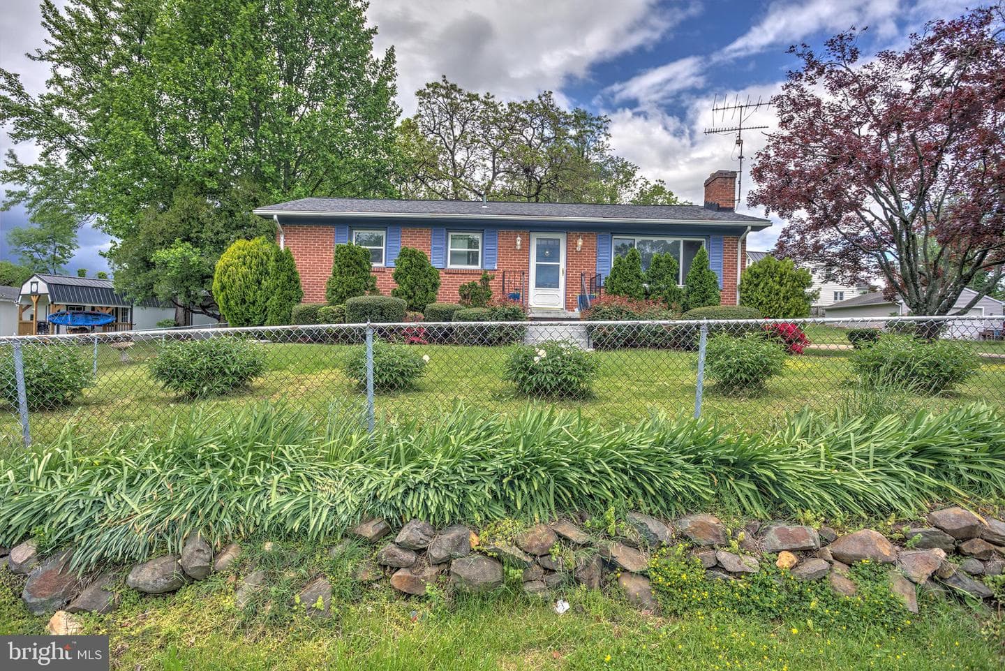 321 E E Street photo 4