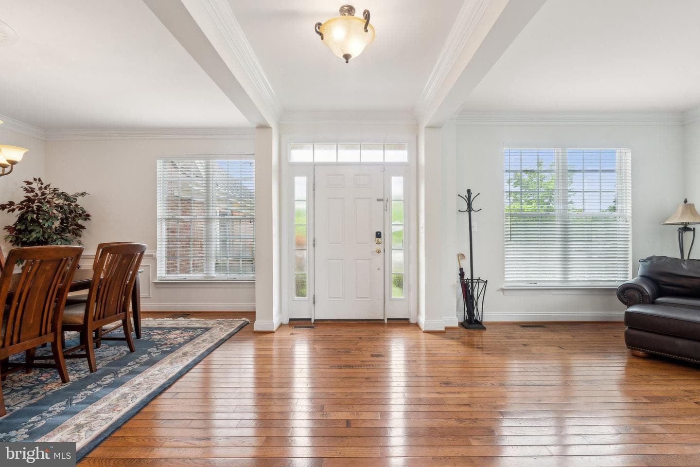 42795 Explorer Drive photo 4