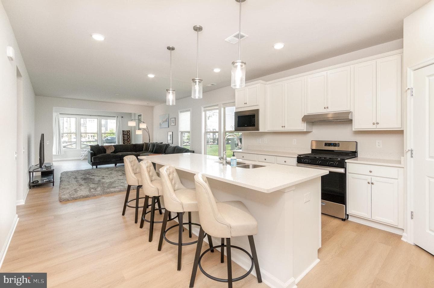 46410 Blackrock Summit Terrace photo 4