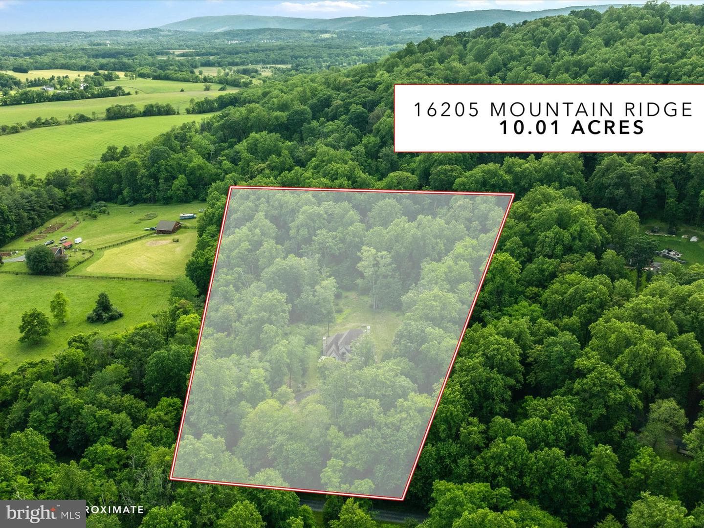 16205 Mountain Ridge photo 4