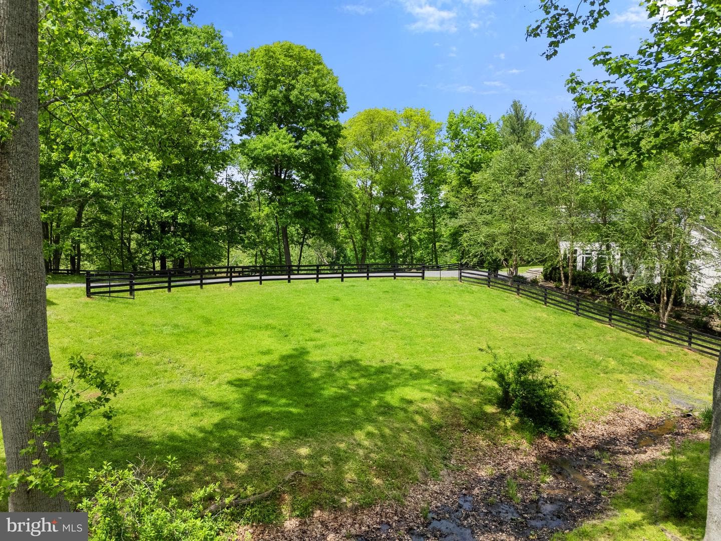 23103 Kirk Branch Road photo 11